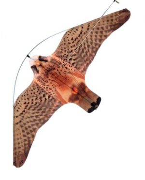 Halcón espantapájaros
